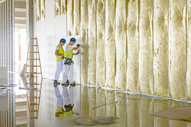 Best Energy Efficiency Solutions in Nacogdoches, TX